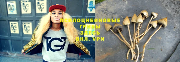 прущий лед Козельск