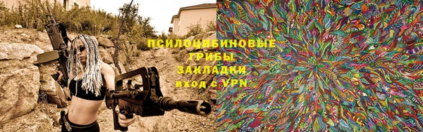 прущий лед Козельск