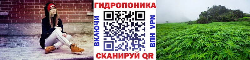 Шишки марихуана индика  где можно купить   Петушки 